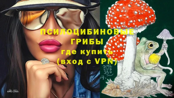 каннабис Арсеньев