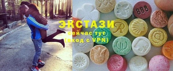 стаф Аркадак