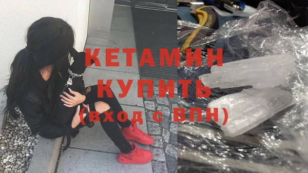 стаф Аркадак
