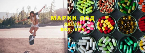 стаф Аркадак
