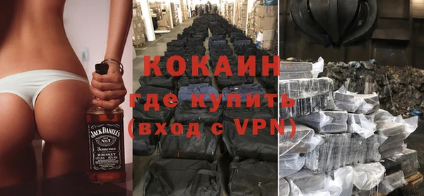 стаф Аркадак