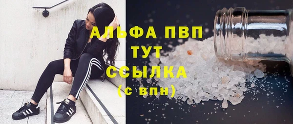 стаф Аркадак
