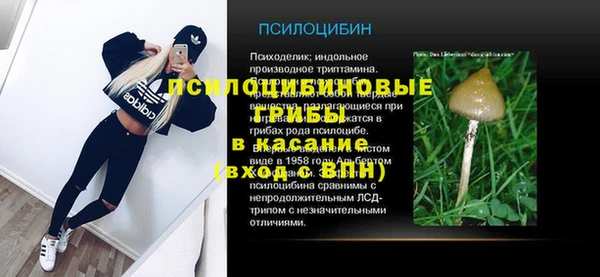 стаф Аркадак