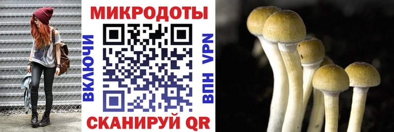 blacksprut ONION  дарк нет состав  Галлюциногенные грибы ЛСД  Аша 